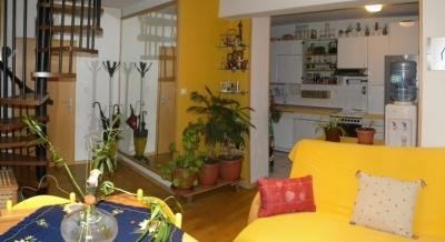 apartmani, Privatunterkunft im Ort Ohrid, Mazedonien